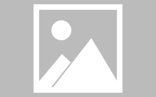太康网页优化和设计人才（网站优化职位）